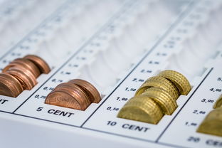 网贷逾期了怎么办？钱还不上，催收天天打来，还能翻身吗？